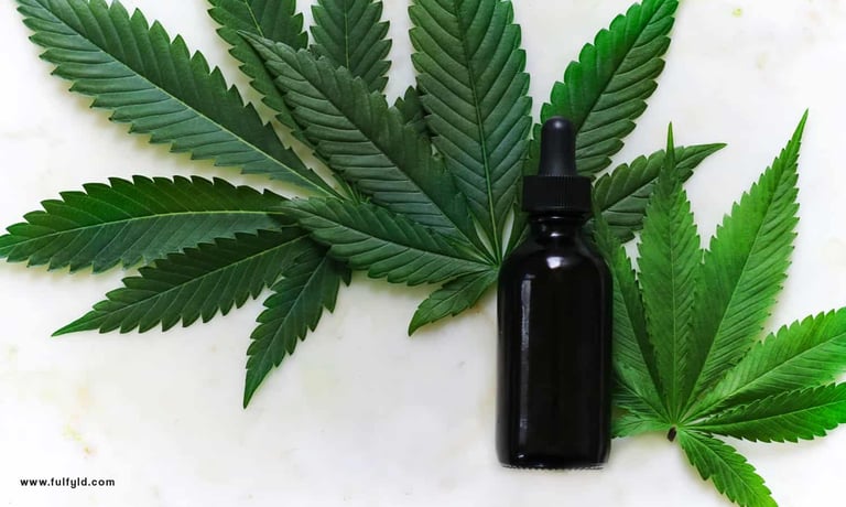 All you need to know<br> about CBD Industry